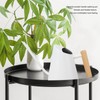 Watering Can with Long Spout Rustproof Stainless Steel Watering Pot