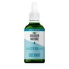 Modern Nature Stevia Flavour Drops - Coconut 100 ml -