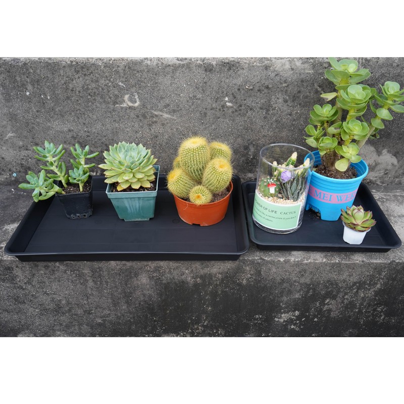 VUWEZ 2 Pack Plant Saucer Tray Rectangular, Plant Growing Nursery