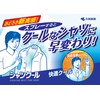 Shirt Cool Cooling Strong 3.4 fl oz (100 ml)