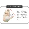 isida Chopsticks 染井吉野
