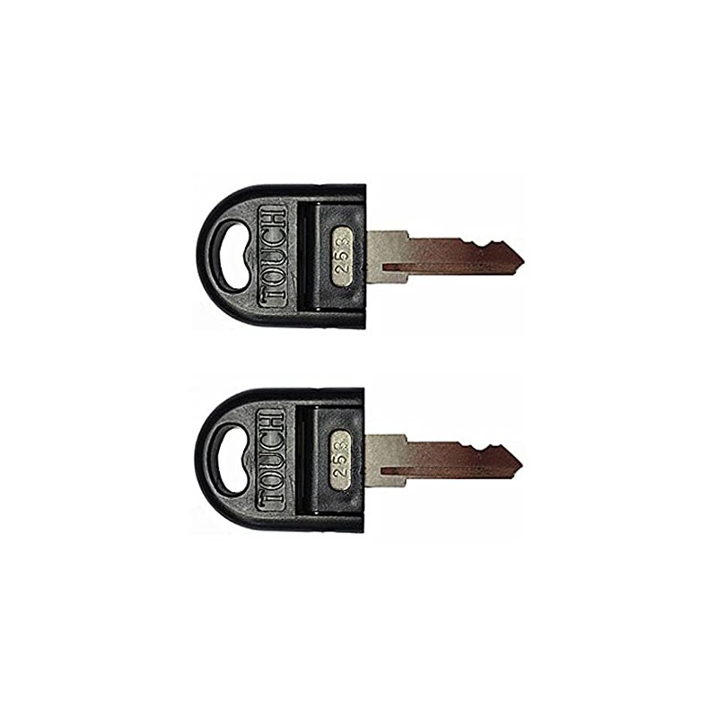 Pair of Replacement T6 Touch Keys in The Senator President