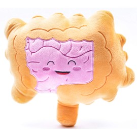 nerdbugs Intestine Plush- Colon/Intestine Stuffed Organ Stuffie for IBS, Colitis, Crohns & GI Support Plush/Health Education and Surgery Present/Gastroenterology Get Well Gift