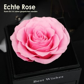Sweetime Eternal Rose with Chain, Preserved Rose Jewellery, Real Pink Rose for Mum Gift, 925 Sterling Silver Women's Necklace, Women's Gift Box for Valentine's Day, Mother's Day, Wedding Anniversary.