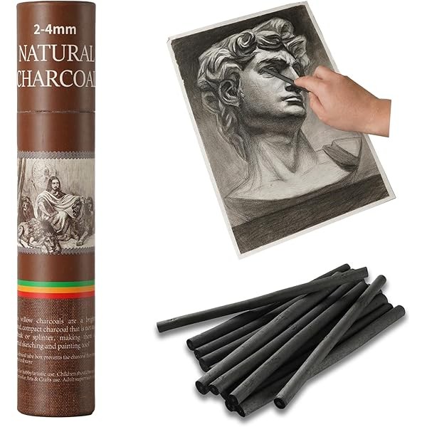 25 PCS Willow Charcoal Sticks, Ideal for Artists, Beginners, Students,