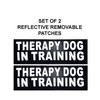 Doggie Stylz Set of 2 Reflective Therapy Dog in Training