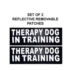 Doggie Stylz Set of 2 Reflective Therapy Dog in Training Removable Patches with Hook Backing for Working Dog Harnesses & Vests. Durable and Interchangeable - (Medium 4" X 1.5")