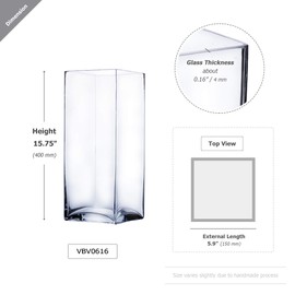 WGV Tall Square Vase Glass Block, Length 6", Height 16", Clear Planter Terrarium, Floral Container for Wedding Party Event, Home Office Decor, 1 Piece