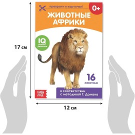 Doman Method Russian Flashcard Book Set for Learning Set - Russian Alphabet