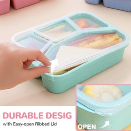 NAJIESUN Snack Box, 4-Pack Lunch Box with Spoon Fork, 5 Compartments, BPA Free, Reusable Lunch Box, Designed for Portion Control, School and Eating Out. Compact, Stackable, Four Colors