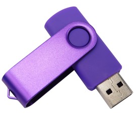 Mini capacidad USB Flash Drive Memory Sticks con 1 adaptador OTG (micro USB) y 1 adaptador tipo C (USB-C) para teléfono celular (morado 1GB)