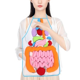 POPETPOP 3D Organ Apron, Anatomy and Physiology Human Body Apron Educational Tool Toy for Kids, Removable Plush Stuffed Viscera Model for Home Preschool Early Childhood Teaching Aid