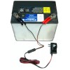 Honda Spree Battery Butler 12 v tender charger storage Automatic