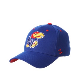 ZHATS Men's Stretch Fitted Hat Team Color