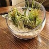 WGVI Handmade Slant Cut Glass Bowl Vase 6 H Perfect