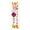 Facial Aesthete Nobori Flag (Short 23.6 x 59.1 inches (60
