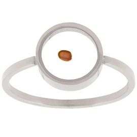 Circle Shaped Mustard Seed Ring for LDS and Christian Women of Faith in Silver and Gold with Mustard Seed Encased LDS Rings and Jewelry (Silver, 6)