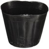 Kinboshi Golden Star Seedling Supplies Poly Pot 4.1 inches (105