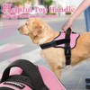 rabbitgoo Dog Harness Small Sized, No Pull No Choke Pet