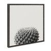 Kate and Laurel Sylvie Haze Succulent Cactus Short Framed Canvas