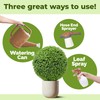 Boxwood Fertilizer – Liquid Plant Food for Dense Growth, Rich