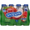 Snapple, Snapple Apple, 16 Fl Oz, 12 Pack