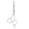 ShearsDirect Japanese Premium VG-10 Stainless Pro Styling Shear with Ergonomic