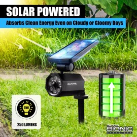 Bell+Howell Bell & Howell Bionic Motion-Sensing Solar Powered LED Black Spotlight