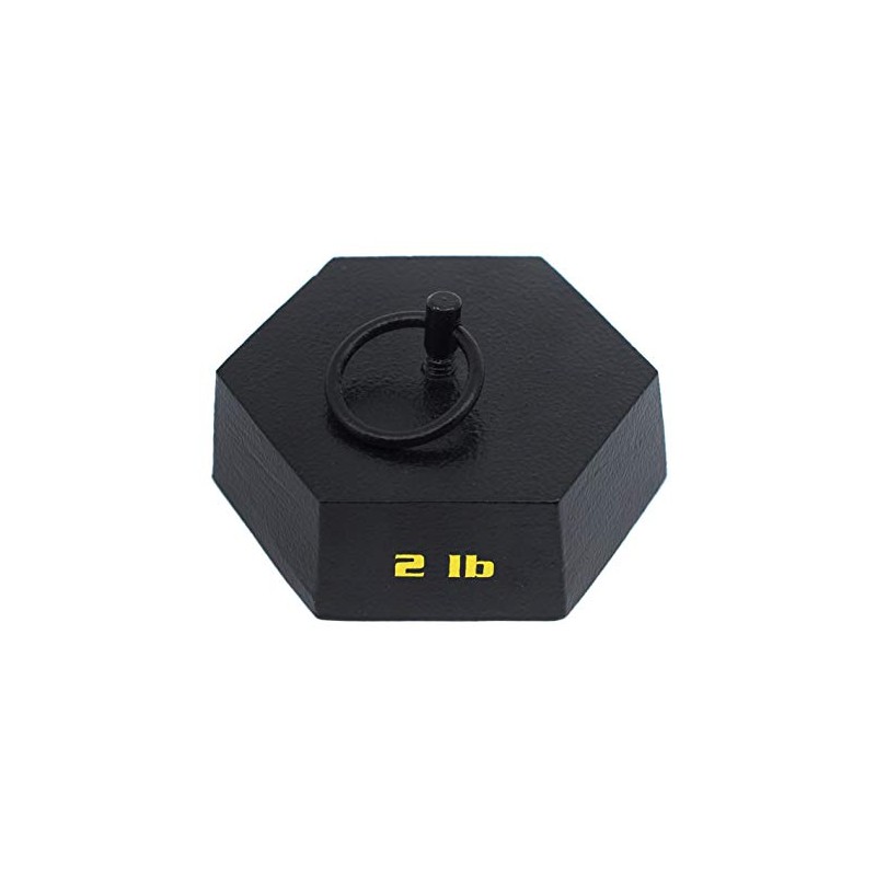 EISCO Hexagonal Mass, 2 Pounds - with Lifting Ring -