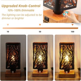 Tingruiz Industrial Table Lamp with USB Ports and Outlet, Rustic Dimmable Bedside lamp with Charging Station, Metal Square Shadow Nightstand Lamp, Night Light for Kids Bedroom Living Room End Tables