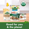 Cascadian Farm Organic Brownie Crunch Cereal, Gluten Free, Whole Grain