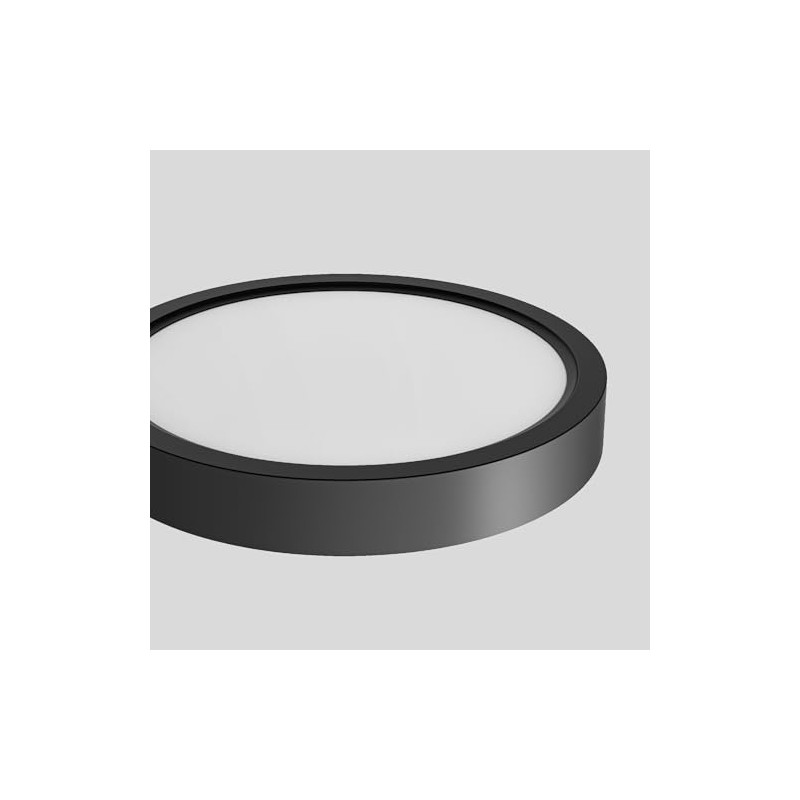 Roomratv Light for Ceiling Fan Only