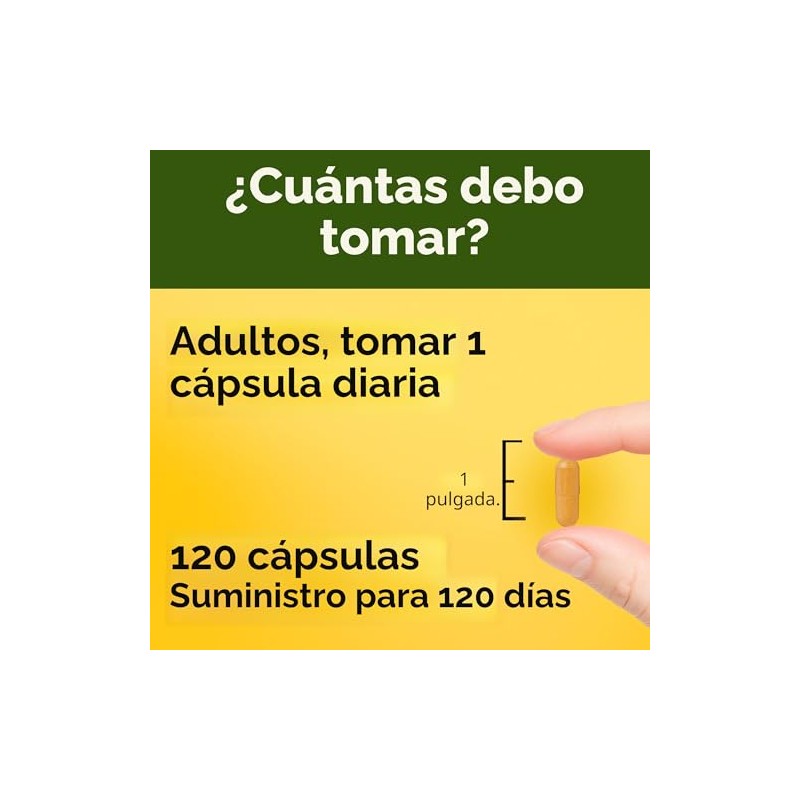 Nature Made Cúrcuma 500 Cápsulas Unidades Soporte Antioxidante Embalaje Puede