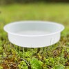Selections Bird Bath Bowl for Metal Bird Feeding Stations