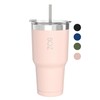 BOZ Tumbler - Tumbler with Lid and Straw - Insulated