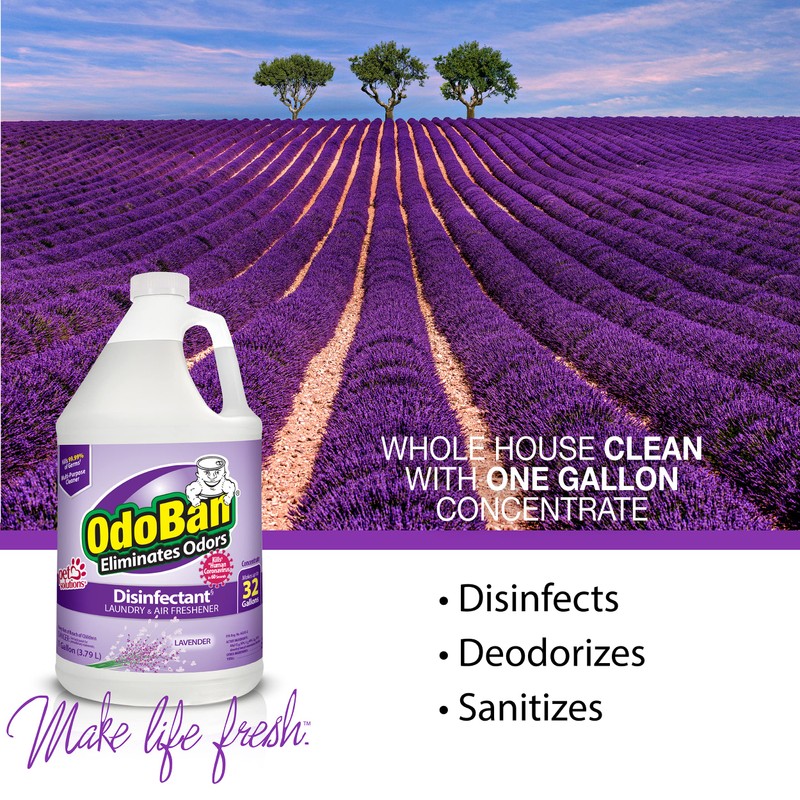 OdoBan Disinfectant Concentrate and Odor Eliminator, Made in the USA,