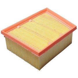 Ford Genuine EcoSport Fiesta KA Puma 1.0 EcoBoost Air Filter Element 17-2066235