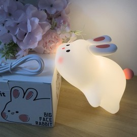 Cute Rabbit Night Light, Bunny LED Squishy Novelty Animal Night Lamp, 3 Level Dimmable Nursery Nightlight for Breastfeeding Toddler Baby Kids Decor, Cool Gifts for Kids