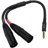 CESS-257 Black 4.4mm to Dual XLR Male Balanced Audio Headphone