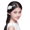 AVILMORE Flower Pearl Hair Comb Hair Ornament Rhinestone with Storage