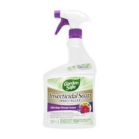 Garden Safe Brand Insecticidal Soap Insect Killer, 32 Fluid Ounces, for Organic Gardening, Kills Bugs Through Contact (Pack of 6)
