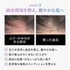 Rhodomis Sparkling Shampoo, Dense Bubbles of Excitement (Carbonated Head Spa