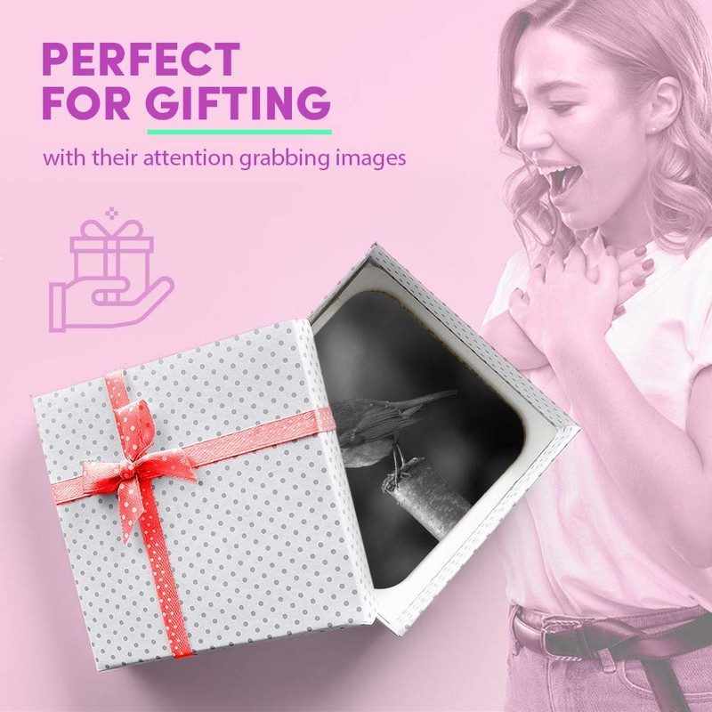 1 x Square MDF Fridge Magnet - Robin Wildlife England