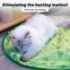 LUPAPA Interactive Cat Toys, Indoor Simulation Hunting Toys for Cats,