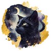 Black Cat Midnight Cosmic Gold Pattern Sticker Cute Unique Design