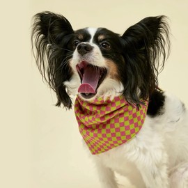 Little Beast Dog Bandanas Adjustable Fit - Cute Dog Pet Scarf w/Cooling Fabric - Stylish Puppy Bandanas for Costumes, Pet Scarf for Birthdays & Everyday Use - Persian Pink/Starship (Small)