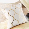 Hanrunsi Cushion Covers White 50x50 cm Decorative Elegant Velvet Sofa