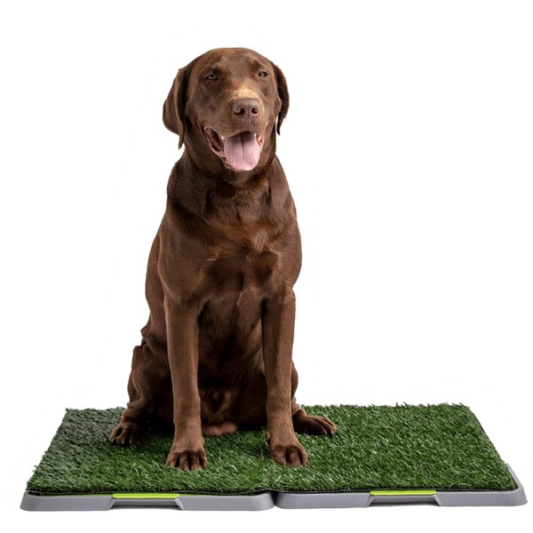 Silver Paw 3-Layer Washable Pee Pads for Dogs - Dog Grass Pad with Tray | Indoor Dog Potty for Small Dogs | Bathroom Tray for Pets | Dog Training Accessories - Large (34" x 27")