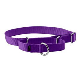 PetSafe Adjustable Martingale Collar - Only Tightens When Dogs Pull, Prevents Slipping Out - Helps with Strong Pullers, Increased Control - Alternative to Choke Collar - 1", Large, Deep Purple