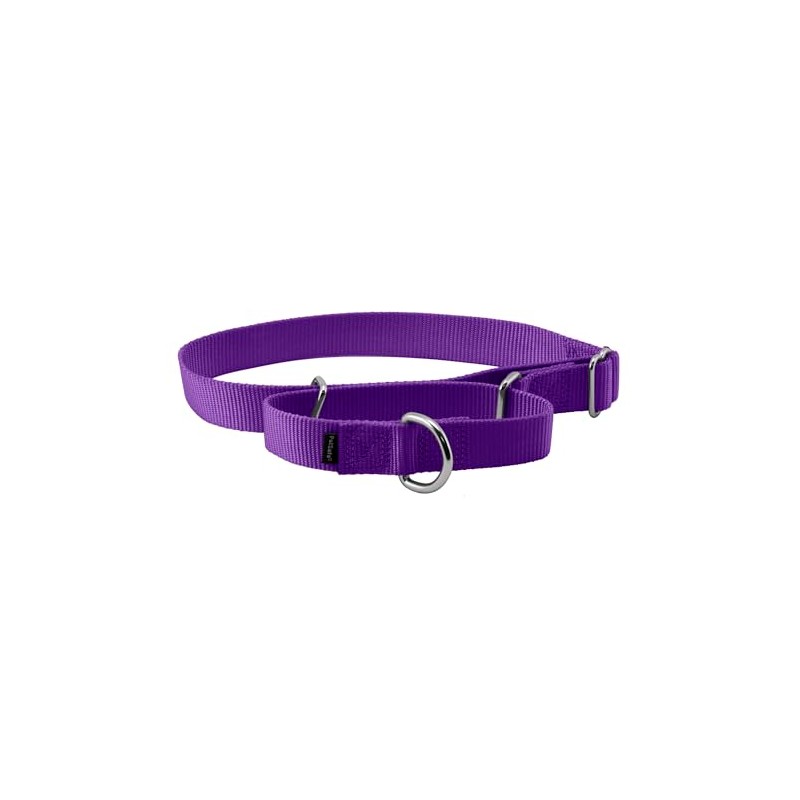 PetSafe Adjustable Martingale Collar - Only Tightens When Dogs Pull,